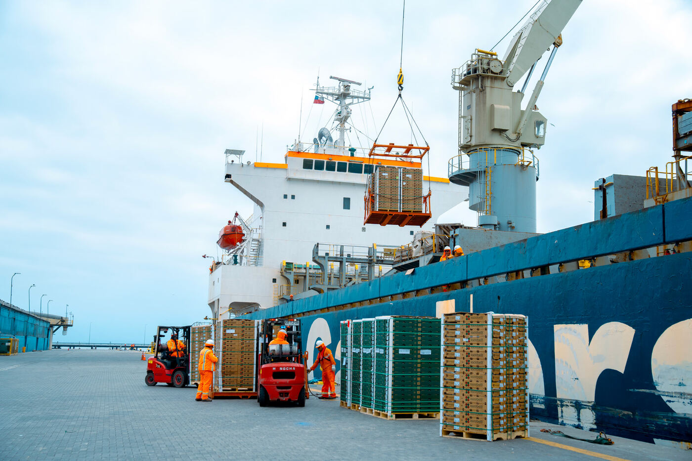 Carga de fruta en el puerto para exportación